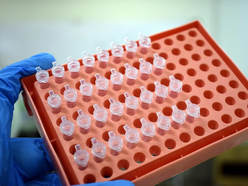 Mão com luva azul segurando uma placa de microtubos usada em exames de PCR
