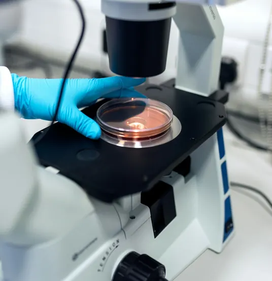 Análise de amostras no laboratório – Unidade Campinas